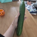 家事したくないよぉお