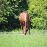 『洗い場』の画像