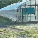 野生動物に囲まれて…