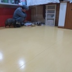 NPO犬猫みなしご救援隊・代表ブログ・みなしご庵へようこそ