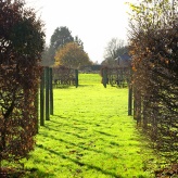 世界が注目するイギリスワインのトレンド、Black Chalk（ブラックチョーク）訪問記