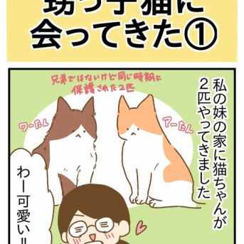 甥っ子猫に会ってきた①