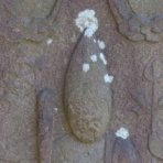 好奇心いっぱいこころ旅