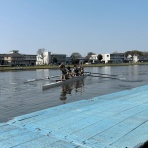 東京科学大学　理工学系漕艇部員日記