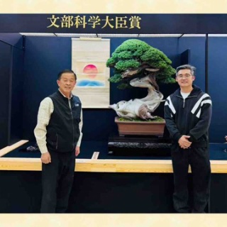 雨竹 盆栽 水石 便り