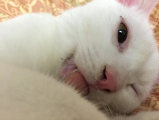 その時だけの表情　20260326