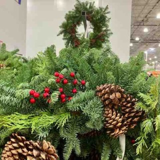 楽園ハワイと私