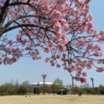 大阪　団塊世代の趣味と生活のブログ。