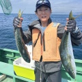 イワシの泳がせ　近場