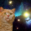 本人は言ってない山本由伸名言集がおもろすぎる