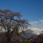 長野県安曇野市在住 KITAZAWAのブログ