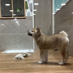 神奈川県 ワンラブ LICOPA川崎店のスタッフブログ