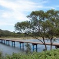 川に消える橋「沈下橋」とは