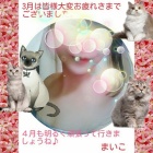 『まいこの写メ日記』の画像