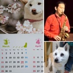 たそがれゴルファーのライブ情報