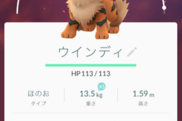 まぐやまのロサンゼルス生活日記 Pokemon まぐやまのロサンゼルス生活日記 Pokemon