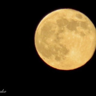 りかこの乳がん体験記