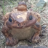 �ؿƻҥ�����ο��ھơ٤β���