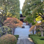 Castle.TATOの城郭訪問外史