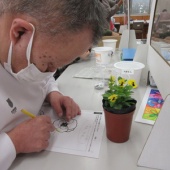 ������✨