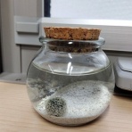じれんとね