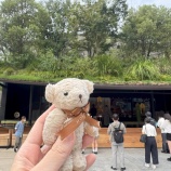 『雨を抱えて旅に出る—福岡、文学フリマの週末』の画像