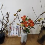 Divergent・構造翻訳アーキテクト養成講座