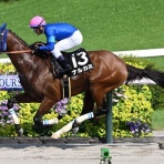 「お世話になりました」哀愁の占い師　朱川森(あけがわしん)のレッスルなブログ