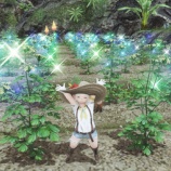 『FF14 無人島の工房初日は青船貨３千稼げましたヾ(〃^∇^)ﾉ　アイルパースニップとアイルポポトが出来て収穫しましたヾ(〃^∇^)ﾉ　レベル１　開拓ランク１０』の画像