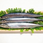 【画像】スーパーに買い物行ったらサンマ安すぎてワロタｗｗｗｗｗｗｗ