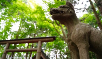 【明治の怪奇事件】「巨大怪獣」と人間の戦いが岡山県の山中で行われていた…巨大怪獣の正体とは
