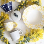 うつわ屋Living&Tableware　NEWS