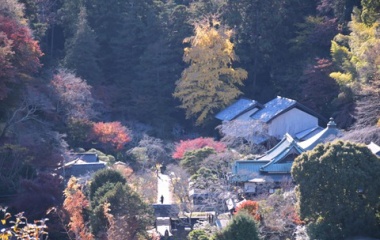 『鎌倉燃ゆ　２』の画像