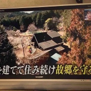 �����Ϸ뺧��ǰ���Ǥ����������ϥݥĥ�Ȱ츮��