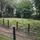 滝の城（埼玉県所沢市）