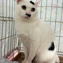 片付けたいけど＆週末ご飯