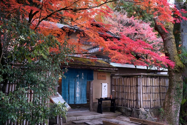 dphoto.jp 作品撮りを楽しもう