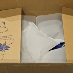 hanaのディズニーとおでかけ