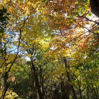 日本や世界や宇宙の動向