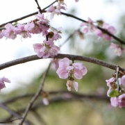 2025.04 ���� ����ι�� ����13 �����ܤ��鲼��