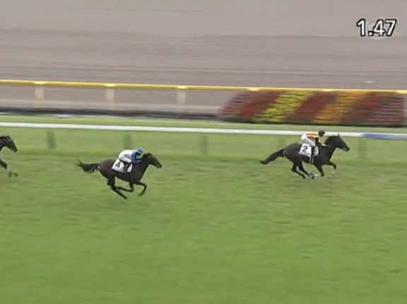 エフフォーリア種牡馬大成功！？な件