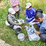 ツリートップ三望