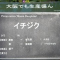 現在の状況250710