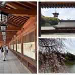 シェビーズのブログ