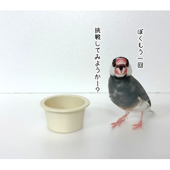 やらかしました