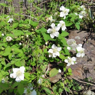京都❤山里に暮らす