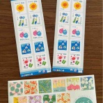 夏のグリーティング切手