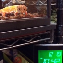 ロッククライミング