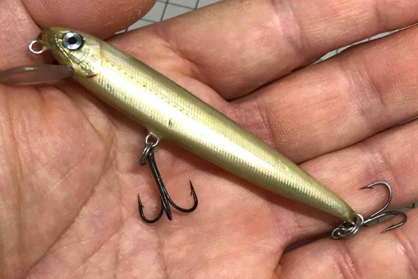 ORA Minnow Serendipity