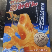 【写真日記】2025年11月